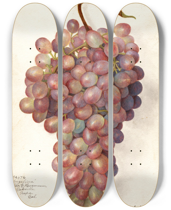 Triptych art skateboard deck of Amanda Almira Newton Vitis Angelina by Amanda Almira Newton (1860-1943)