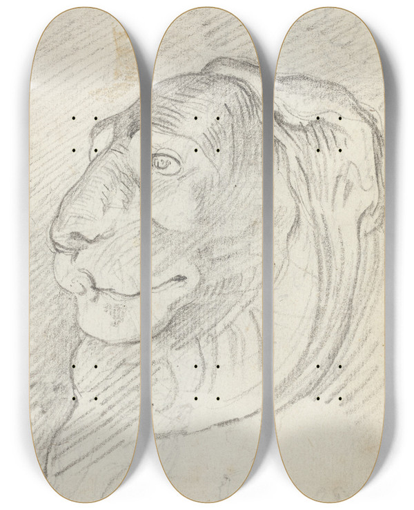 Triptych art skateboard deck of Augustin Pajou Lions Head From The Capitoline Staircase by Augustin Pajou (1730-1809)