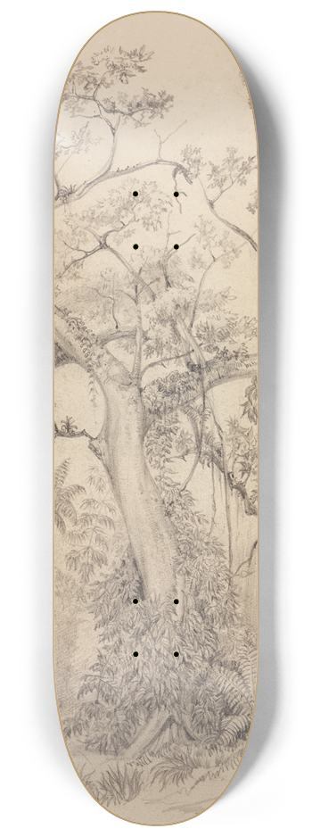 Ferdinand Keller - Baumstudien aus dem Urwald bei Parahyba 8.25 inch art skate deck