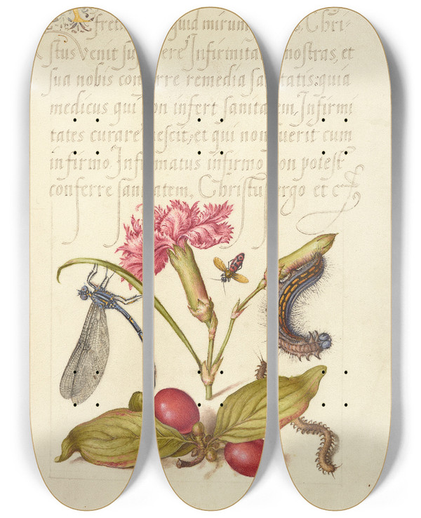 Triptych art skateboard deck of Joris Hoefnagel Damselfly Carnation Firebug Caterpillar Carnelian Cherry And Centipede by Joris Hoefnagel (1542-1600)