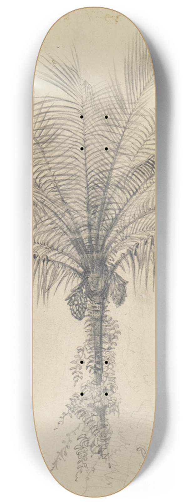 Ferdinand Keller - Palmstudie II 8.25 inch art skate deck