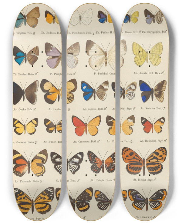 Triptych art skateboard deck of Otto Staudinger Exotische Schmetterlinge Pl093 by Otto Staudinger (1830-1900)