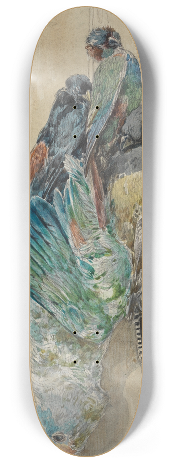 Ferdinand Keller - Studie erlegter Papageien und anderer Vgel 8.25 inch art skate deck