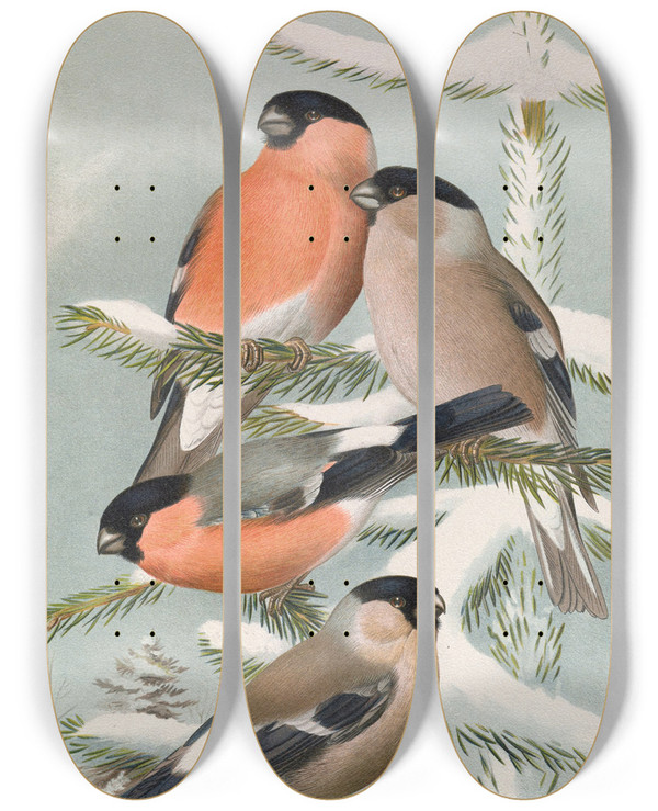 Triptych art skateboard deck of Johann Friedrich Naumann Pyrrhula Pyrrhula Pyrrhula Pyrrhula Europaea Vieill by Johann Friedrich Naumann (1780-1857)