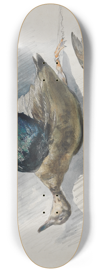 Ferdinand Keller - Zwei Studien eines Vogels 8.25 inch art skate deck