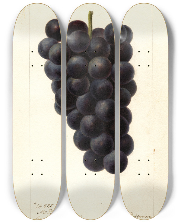 Triptych art skateboard deck of Deborah Griscom Passmore Vitis Mcpike by Deborah Griscom Passmore (1840-1911)