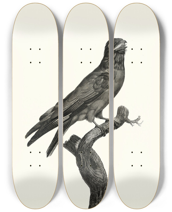 Triptych art skateboard deck of Jacques Barraband Le Rolle Gorge Bleu by Jacques Barraband (1767-1809)