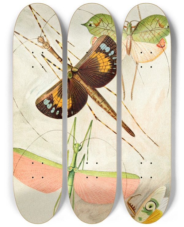 Triptych art skateboard deck of Frederick William Frohawk Orthoptera by Frederick William Frohawk