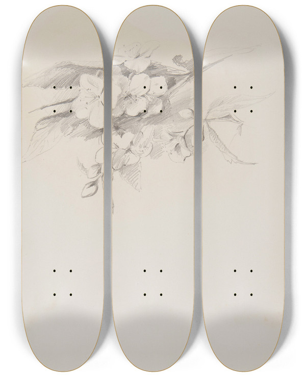 Triptych art skateboard deck of Ferdynand Bryll Szkice Kwiatw by Ferdynand Bryll (1863-1922)
