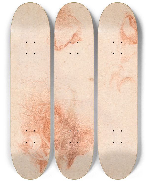 Triptych art skateboard deck of Pompeo Batoni Anatomical Study Face In Profile by Pompeo Batoni (1708-1787)