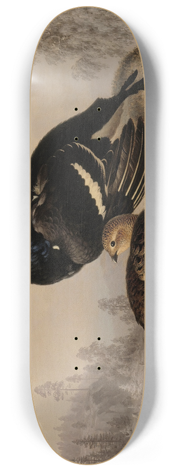Ferdinand von Wright - Black Grouse, Cock And Hen 8.25 inch art skate deck