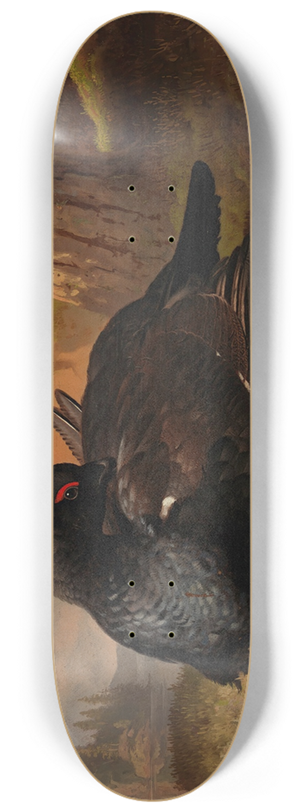 Ferdinand von Wright - Black Grouse 8.25 inch art skate deck