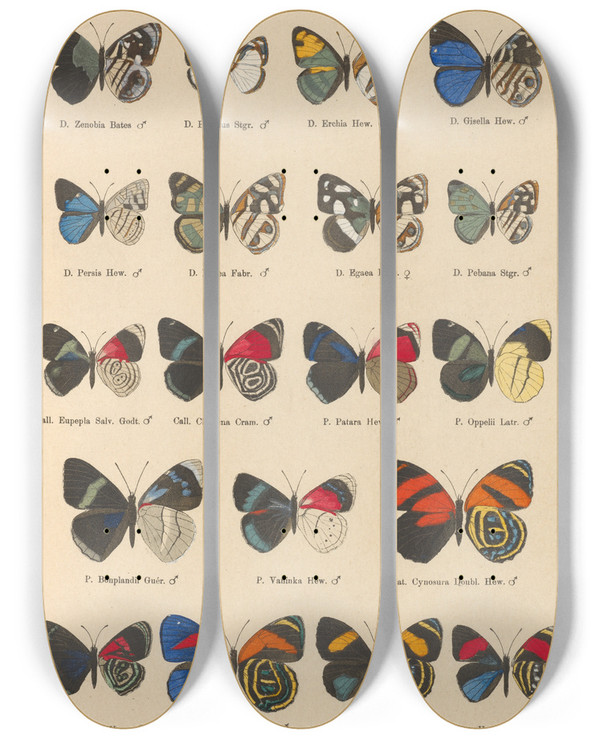 Triptych art skateboard deck of Otto Staudinger Exotische Schmetterlinge Pl042 by Otto Staudinger (1830-1900)