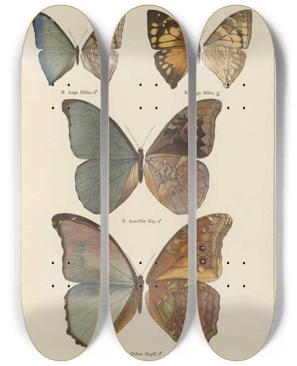 Triptych art skateboard deck of Otto Staudinger Exotische Schmetterlinge Pl067 by Otto Staudinger (1830-1900)