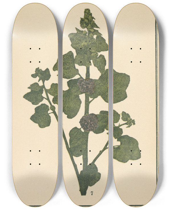 Triptych art skateboard deck of Sebastian Kneipp Plantatlas To My Watercure Pl27 by Sebastian Kneipp (1821-1897)