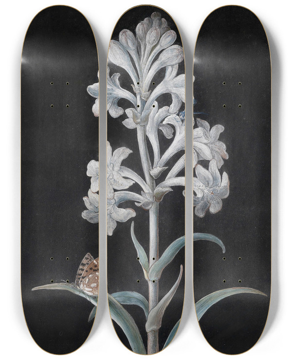 Triptych art skateboard deck of Margaretha Barbara Dietzsch Weie Hyacinthe by Margaretha Barbara Dietzsch (1716-1795)