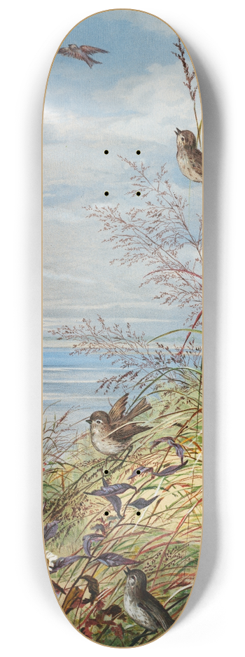 Fidelia Bridges - February 8.25 inch art skate deck