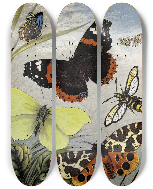 Triptych art skateboard deck of William Houghton Lepidoptera by William Houghton (1828-1895)