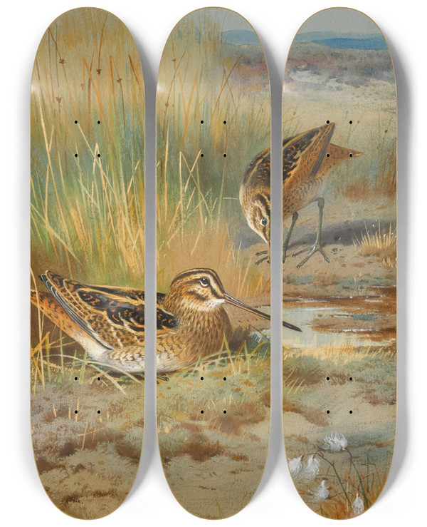 Triptych art skateboard deck of Archibald Thorburn A Pair Of Snipe Gallinago Gallinago by Archibald Thorburn (1860-1935)