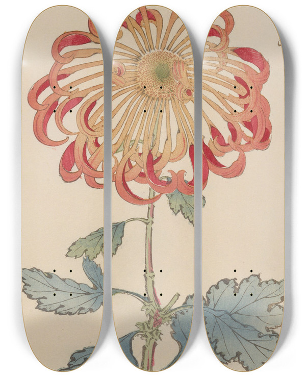 Triptych art skateboard deck of Keika Hasegawa Keika Hyakugiku Pl08 by Keika Hasegawa (1892-1905)