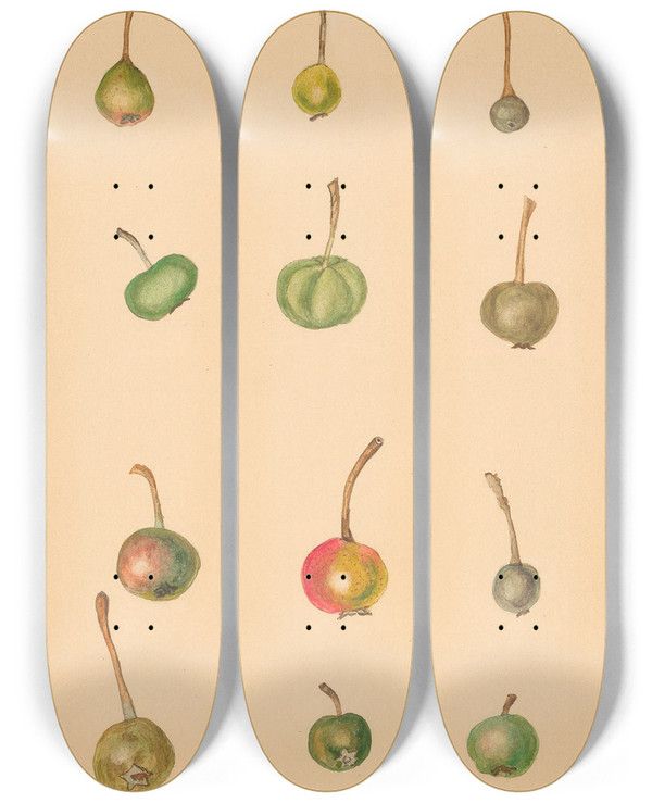 Triptych art skateboard deck of Nikolai Ivanovich Vavilov The Wild Pears Of North Caucasus 2 by Nikolai Ivanovich Vavilov (1887-1943)