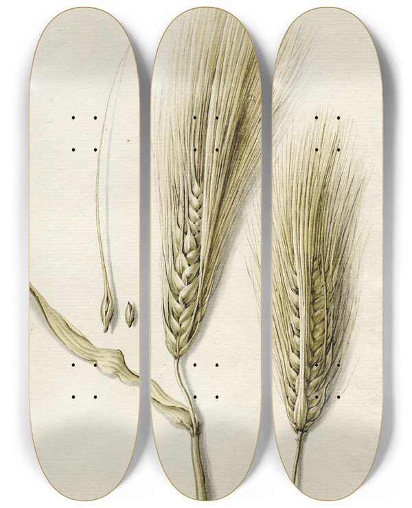 Triptych art skateboard deck of Barend Hendrik Thier Rijpe Gerst by Barend Hendrik Thier (1751-1814)