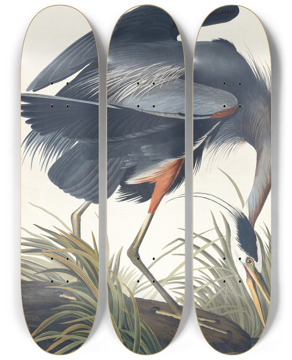 Triptych art skateboard deck of John James Audubon Great Blue Heron by John James Audubon (1785-1851)
