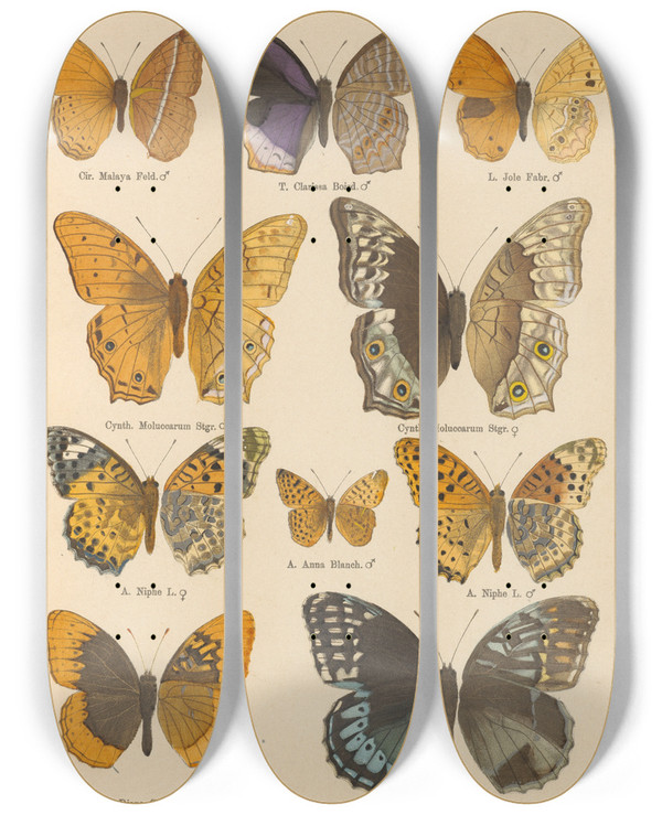 Triptych art skateboard deck of Otto Staudinger Exotische Schmetterlinge Pl035 by Otto Staudinger (1830-1900)