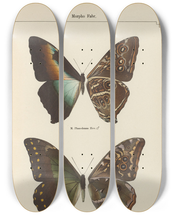 Triptych art skateboard deck of Otto Staudinger Exotische Schmetterlinge Pl066 by Otto Staudinger (1830-1900)
