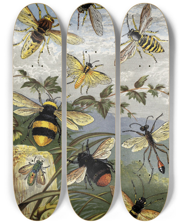 Triptych art skateboard deck of William Houghton Hymenoptera by William Houghton (1828-1895)