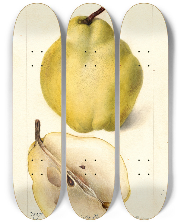 Triptych art skateboard deck of Deborah Griscom Passmore Pyrus Communis Johnsons Nameless Winter by Deborah Griscom Passmore (1840-1911)