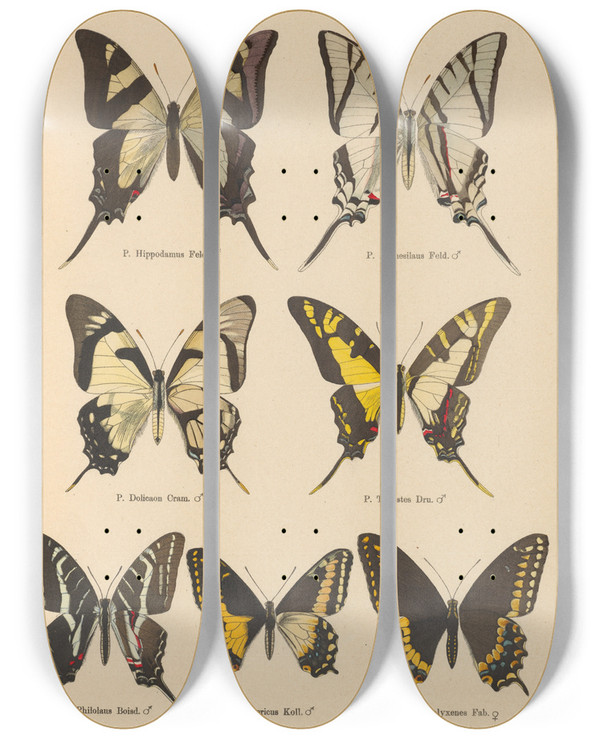Triptych art skateboard deck of Otto Staudinger Exotische Schmetterlinge Pl012 by Otto Staudinger (1830-1900)