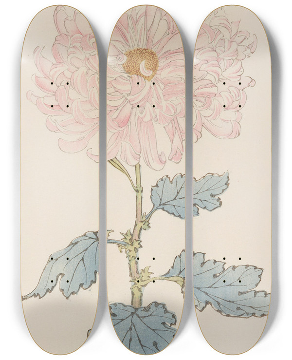 Triptych art skateboard deck of Keika Hasegawa Keika Hyakugiku Pl14 by Keika Hasegawa (1892-1905)