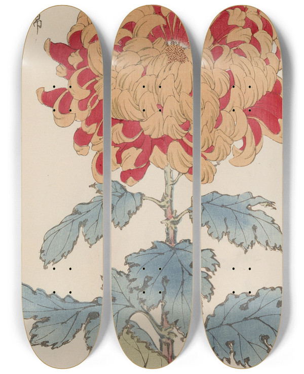 Triptych art skateboard deck of Keika Hasegawa Keika Hyakugiku Pl05 by Keika Hasegawa (1892-1905)