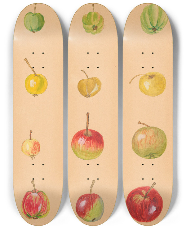 Triptych art skateboard deck of Nikolai Ivanovich Vavilov The Wild Apples Of Middle Asia by Nikolai Ivanovich Vavilov (1887-1943)