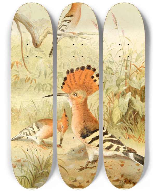 Triptych art skateboard deck of Pierre Jacques Smit Hoopoes by Pierre Jacques Smit (1863-1960)
