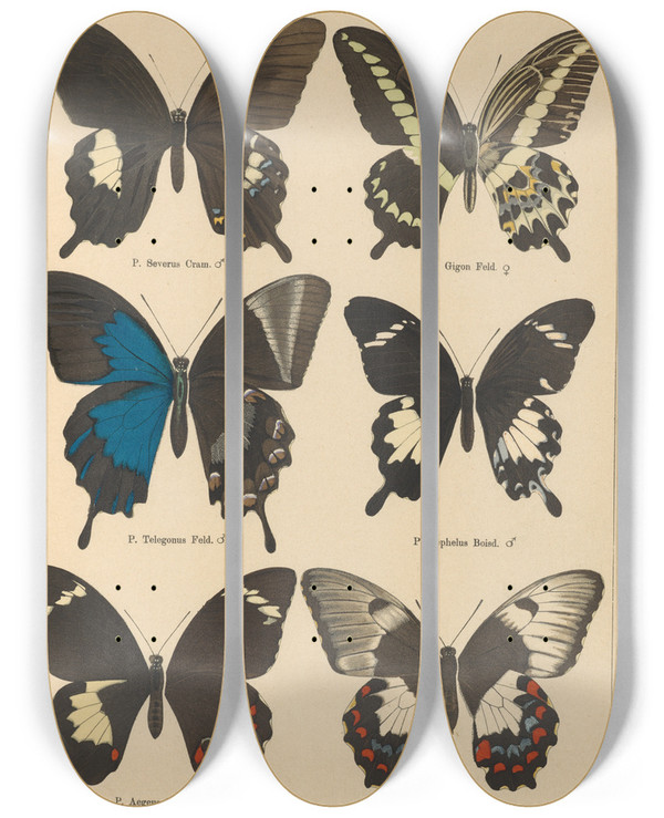 Triptych art skateboard deck of Otto Staudinger Exotische Schmetterlinge Pl004 by Otto Staudinger (1830-1900)