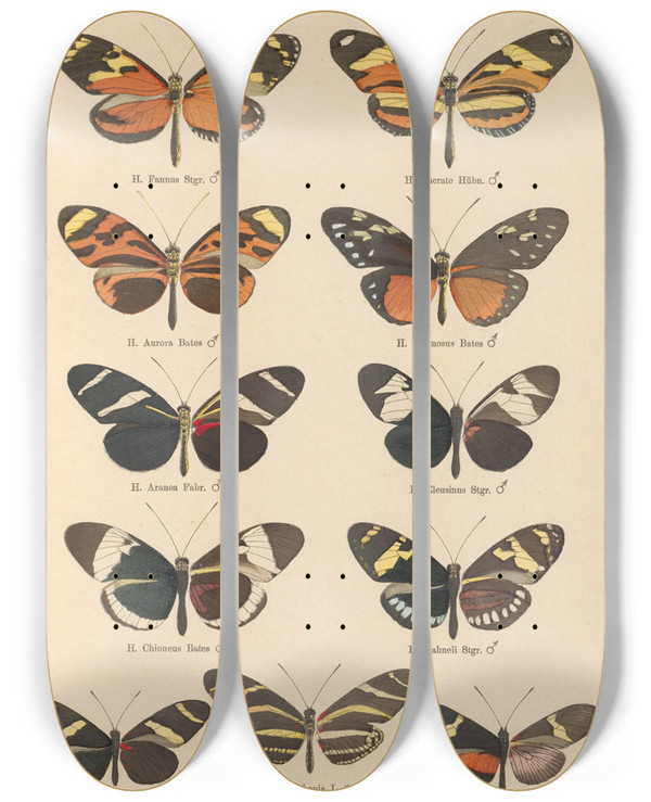 Triptych art skateboard deck of Otto Staudinger Exotische Schmetterlinge Pl031 by Otto Staudinger (1830-1900)