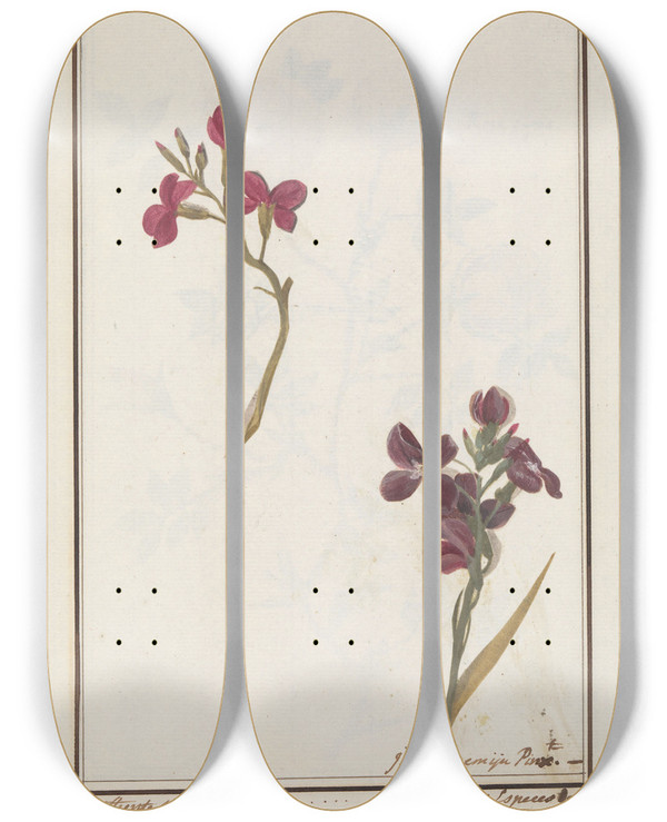 Triptych art skateboard deck of Jan Anton Garemyn Muurbloem Erysimum Cheiri_2 by Jan Anton Garemyn (1712-1799)