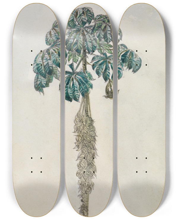 Triptych art skateboard deck of Ferdinand Keller Faultierbaum by Ferdinand Keller (1842-1922)