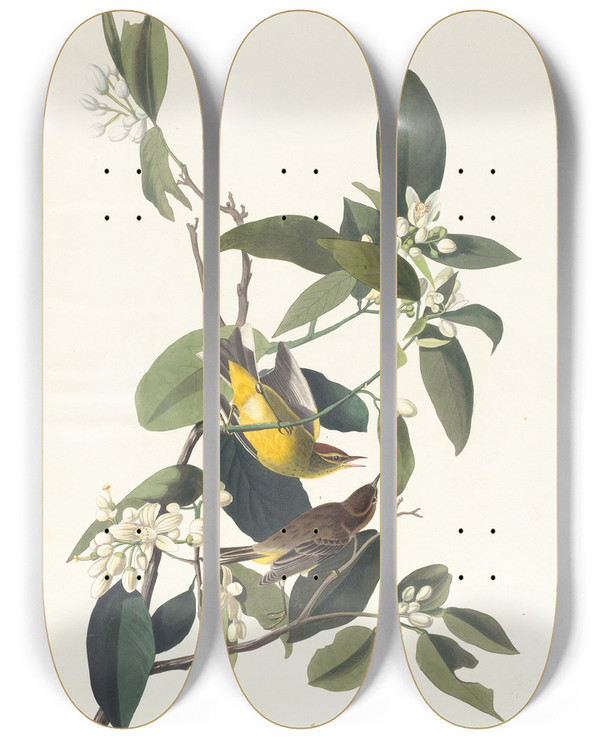 Triptych art skateboard deck of John James Audubon Palm Warbler by John James Audubon (1785-1851)