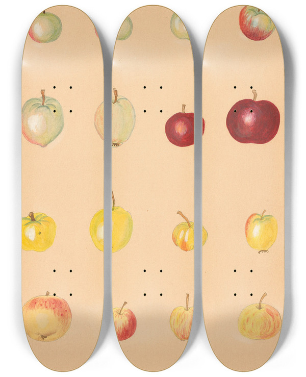 Triptych art skateboard deck of Nikolai Ivanovich Vavilov The Wild Apples Of Caucasus by Nikolai Ivanovich Vavilov (1887-1943)