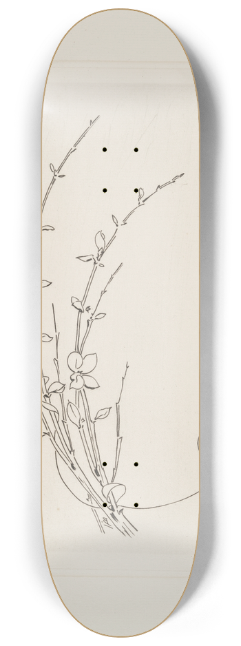 Flix Bracquemond - Plat [gent]. 8.25 inch art skate deck