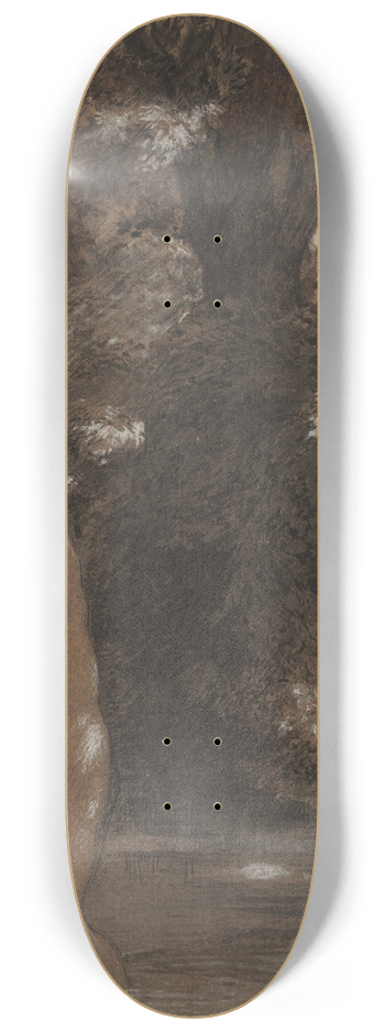 Flix Bracquemond - The Bath 8.25 inch art skate deck