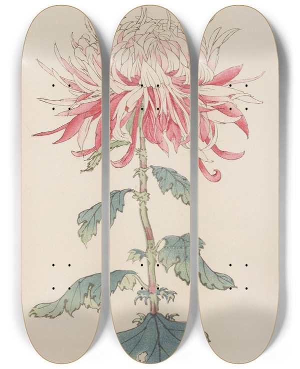 Triptych art skateboard deck of Keika Hasegawa Keika Hyakugiku Pl28 by Keika Hasegawa (1892-1905)