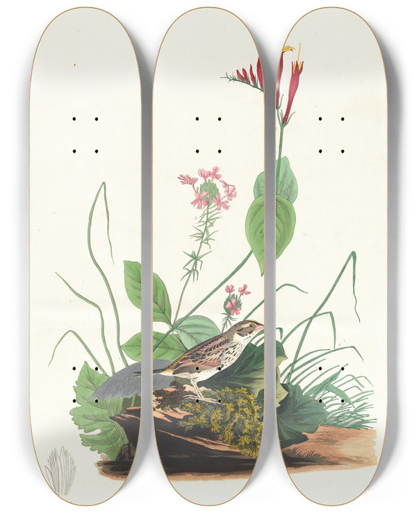 Triptych art skateboard deck of John James Audubon Henslows Bunting by John James Audubon (1785-1851)