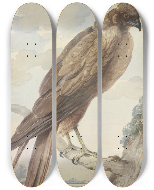Triptych art skateboard deck of Aert Schouman A Kite by Aert Schouman (1710-1792)