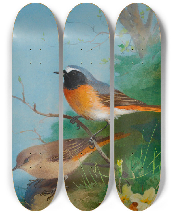 Triptych art skateboard deck of Archibald Thorburn Pair Of Redstarts by Archibald Thorburn (1860-1935)