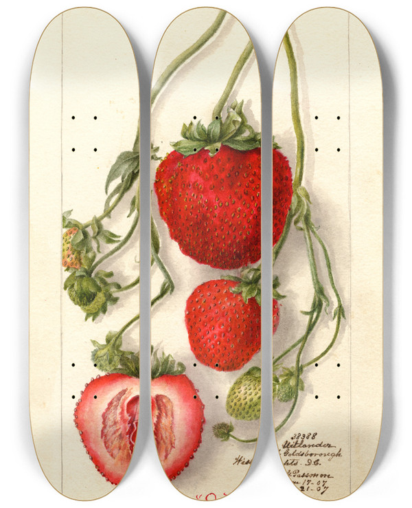 Triptych art skateboard deck of Deborah Griscom Passmore Fragaria Outlander by Deborah Griscom Passmore (1840-1911)