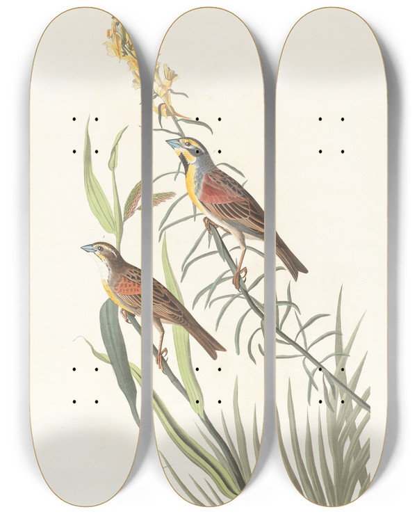 Triptych art skateboard deck of John James Audubon Blackthroated Bunting by John James Audubon (1785-1851)